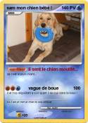 sam mon chien
