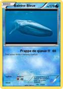 Baleine Bleue Baleine Bleue