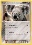 koala
