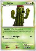 Cactus