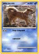 akita inu mix