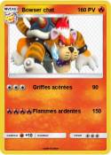 Bowser chat