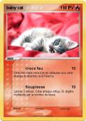 baby cat