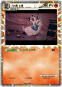rock cat