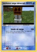 bonhome neige