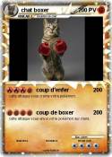 chat boxer