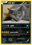 chat gris