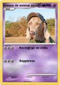 braque de