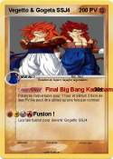 Vegetto & Gogeta SSJ4 Vegetto &