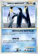 TRIPLE MANCHOT