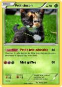 Petit chaton