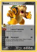 Bowser Bowser