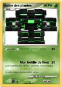 Maître des