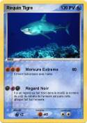 Requin Tigre