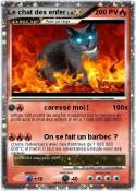 Le chat des