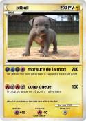 pitbull