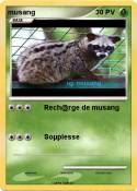 musang musang