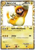 Mario's Cat