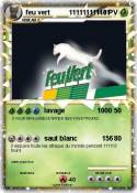 feu vert