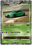 Megane R.S. CUP