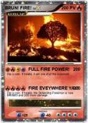 BRUN! FIRE!