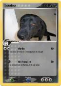 boudou