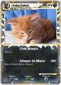 chatachaton