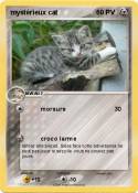 mystérieux cat