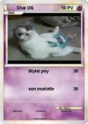 Chat DS