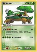 Torterra ex 1