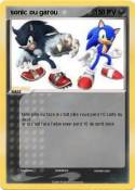 sonic ou garou sonic ou garou