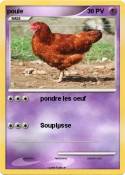poule poule