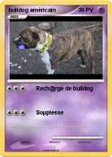 bulldog