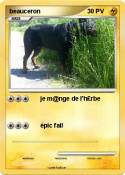 beauceron