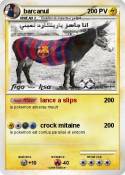 barcanul