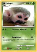 mini singe