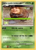cartor justin