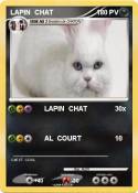 LAPIN CHAT
