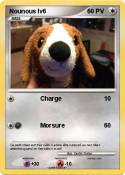 Nounous lv6