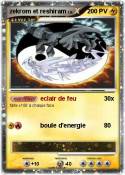 zekrom et