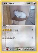 bebe chester