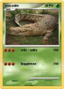 crocodile
