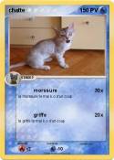 chatte