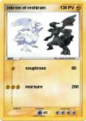 zekrom et