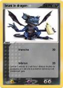 bruni le dragon