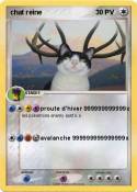 chat reine