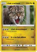 chat cracheur