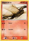 dragon niv ex