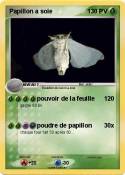 Papillon a soie