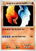 le yin et le